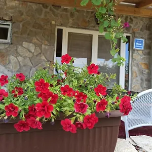 Mare Appartement Babin Dub Plocanski